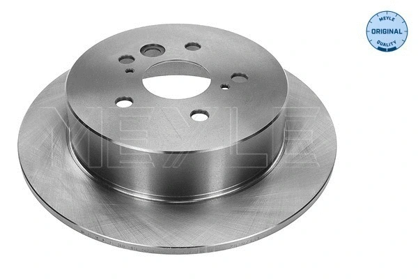 Brake Disc (30-15 523 0101)