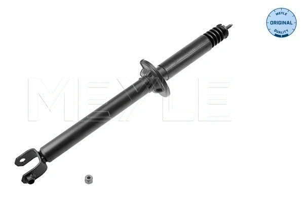 Shock Absorber (726 725 0006)