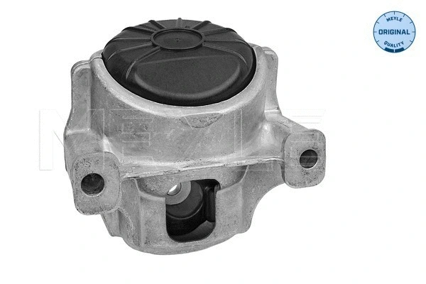 Mounting, engine (100 199 1010)