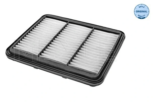 Air Filter (29-12 321 0005)