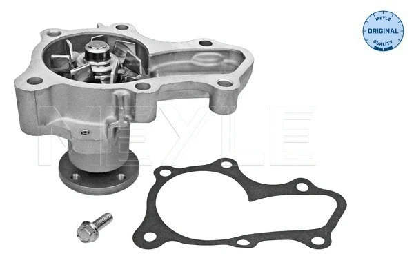 Water Pump, engine cooling (32-13 220 0004)