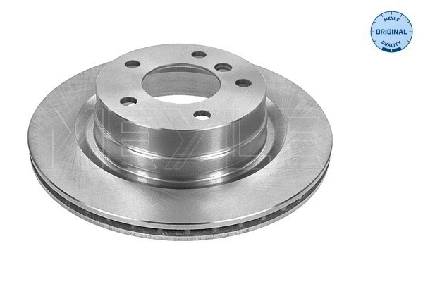 Brake Disc (315 523 0049)