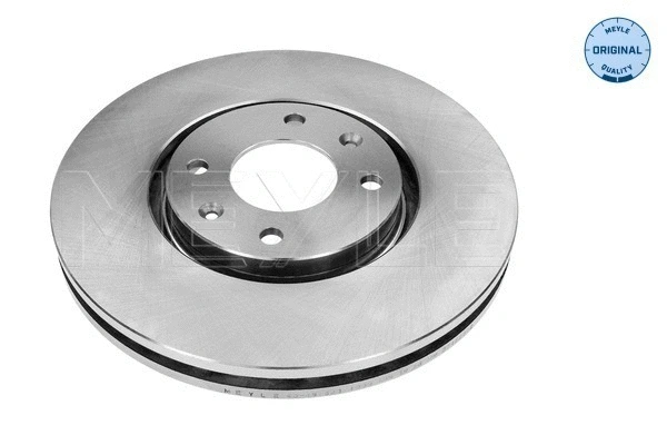 Brake Disc (40-15 521 1000)