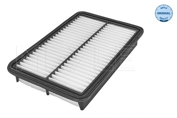 Air Filter (35-12 321 0015)