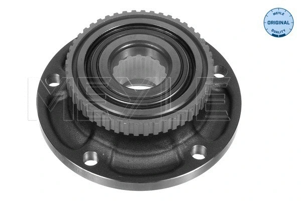 Wheel Hub (300 312 1101)