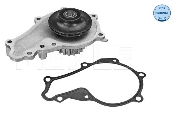 Water Pump, engine cooling (11-13 220 0004)