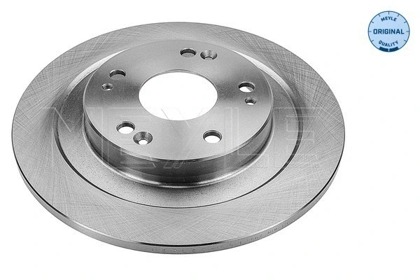 Brake Disc (31-15 523 0062)