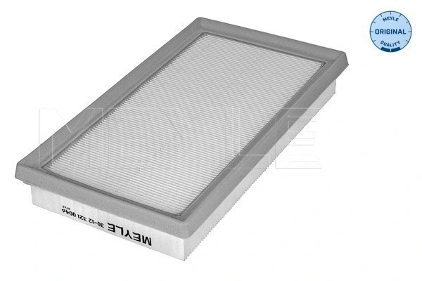 Air Filter (30-12 321 0046)