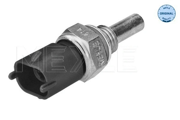 Sensor, oil temperature (614 899 0038)