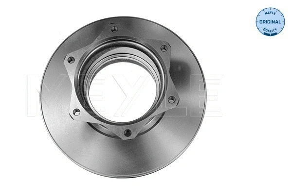 Brake Disc (015 523 2082)
