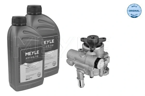 Hydraulic Pump, steering (16-14 631 0001/S)