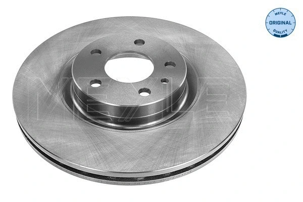 Brake Disc (215 521 0006)