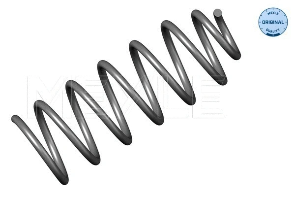 Suspension Spring (114 639 0002)