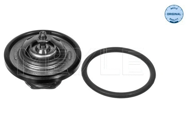 Thermostat, coolant (628 292 0008)