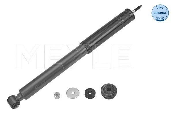 Shock Absorber (026 725 0020)