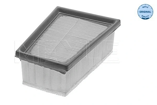 Air Filter (16-12 321 0004)