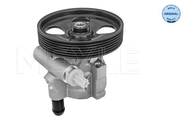 Hydraulic Pump, steering (16-16 631 0005)
