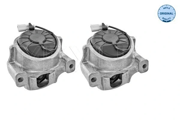Mounting, engine