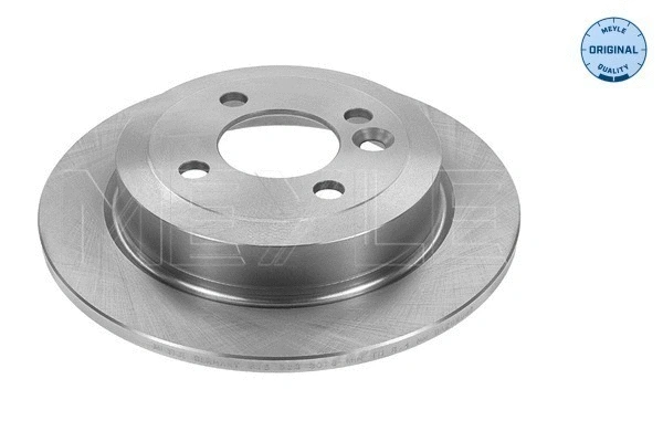 Brake Disc (315 523 0060)