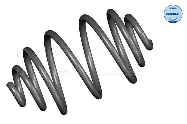 Suspension Spring (100 739 0031)