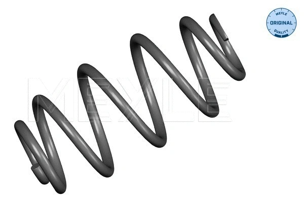 Suspension Spring (100 739 0029)
