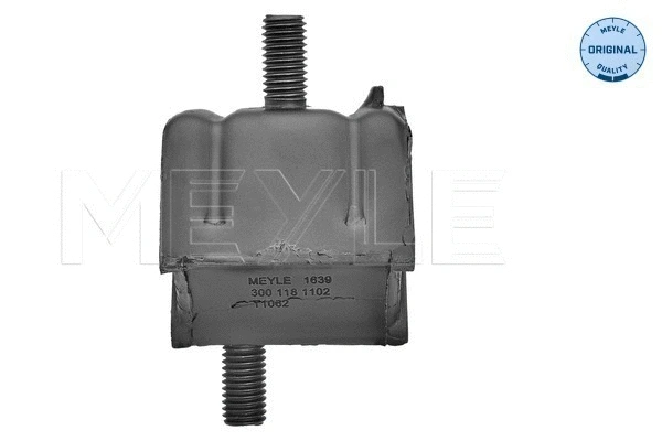 Mounting, engine