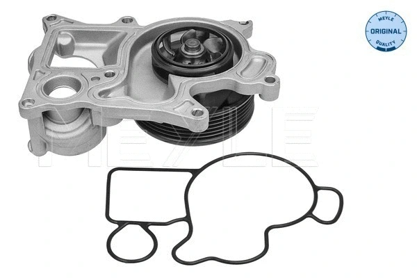 Water Pump, engine cooling (313 220 0019)