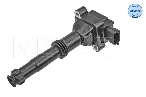Ignition Coil (414 885 0001)