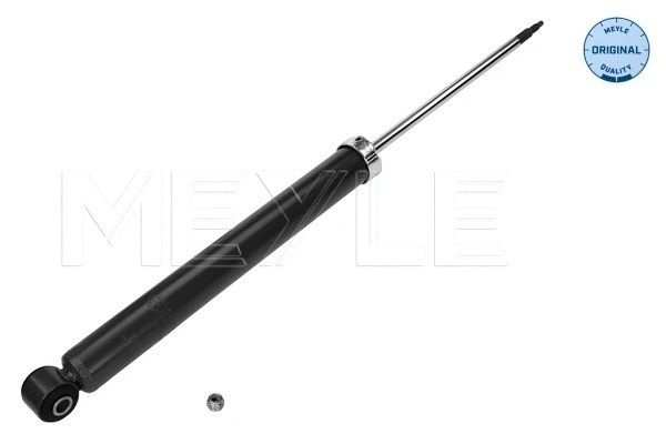 Shock Absorber (726 725 0001)