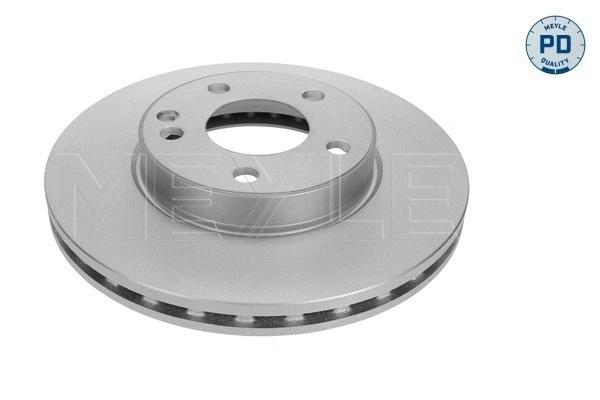 Brake Disc (015 521 0031/PD)