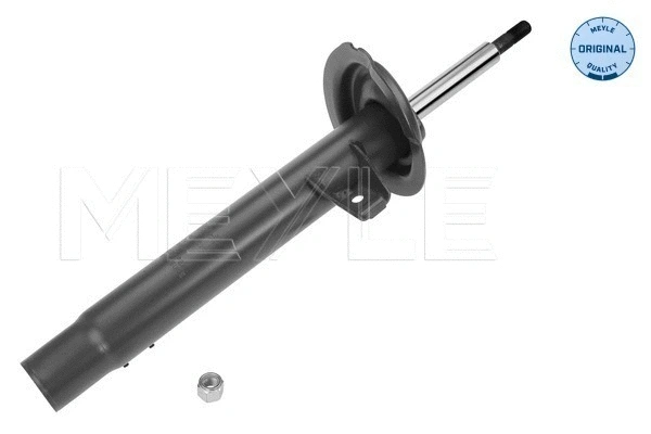 Shock Absorber (326 623 0020)