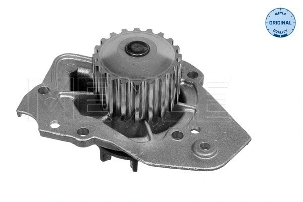 Water Pump, engine cooling (11-13 012 0162)