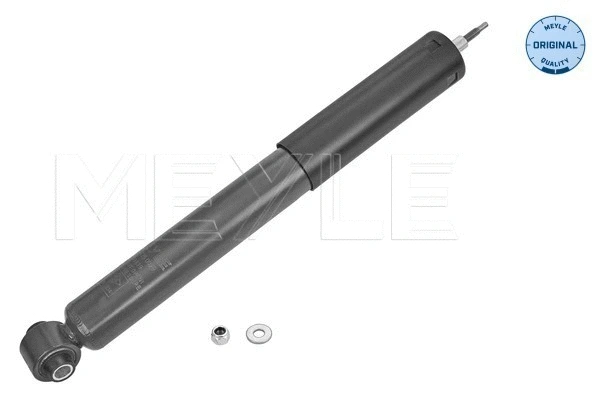 Shock Absorber (726 725 0029)