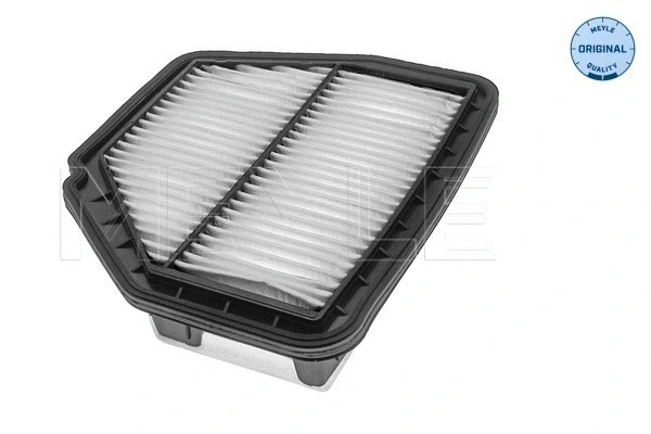 Air Filter (612 321 0005)