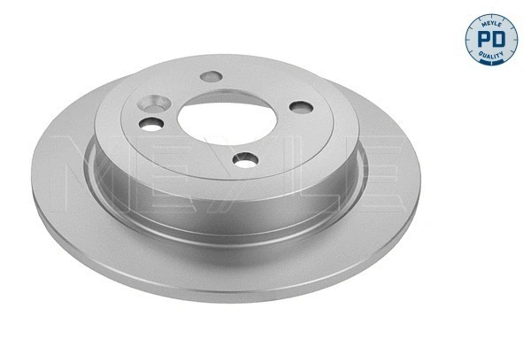 Brake Disc (315 523 0060/PD)
