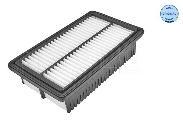 Air Filter (37-12 321 0034)