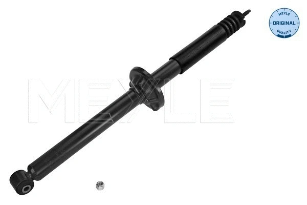 Shock Absorber (726 725 0000)