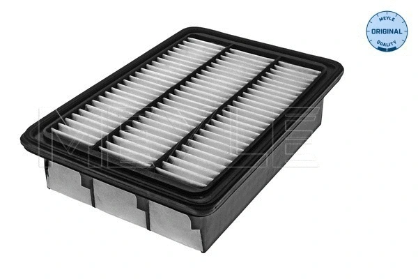 Air Filter (37-12 321 0021)