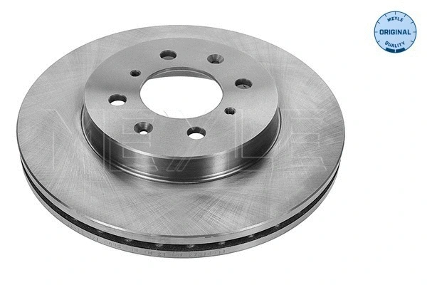 Brake Disc (31-15 521 0056)
