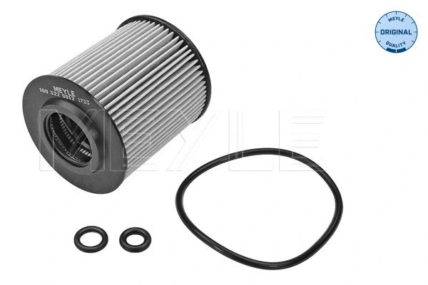 Oil Filter (100 322 0012)