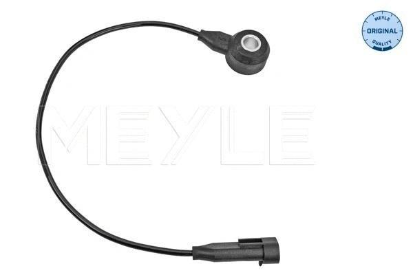 Knock Sensor (614 811 0000)