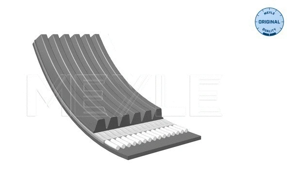 V-Ribbed Belt (050 006 2238)