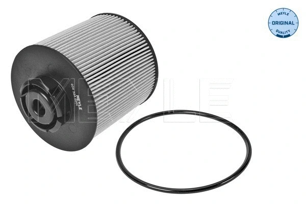 Fuel Filter (034 323 0001)