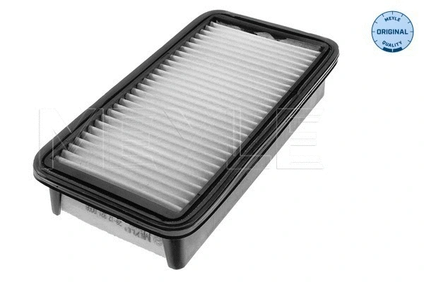 Air Filter (28-12 321 0008)