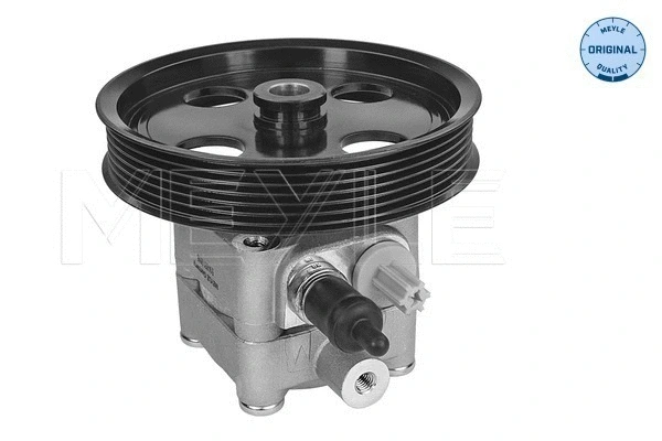 Hydraulic Pump, steering (514 631 0015)