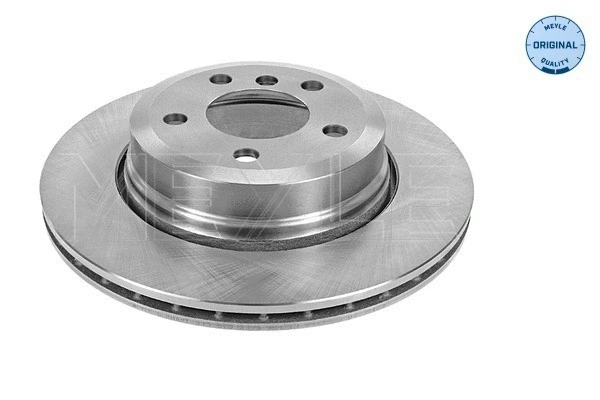 Brake Disc (315 523 0054)