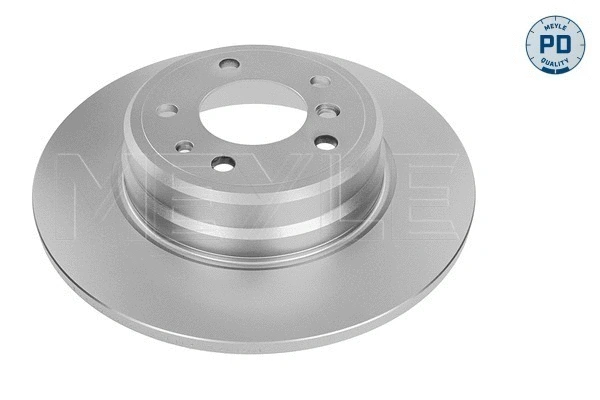 Brake Disc (315 523 0039/PD)