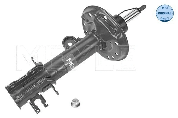 Shock Absorber (226 623 0022)