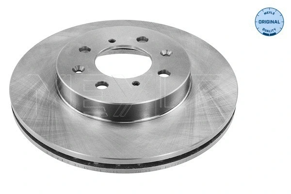 Brake Disc (31-15 521 0015)