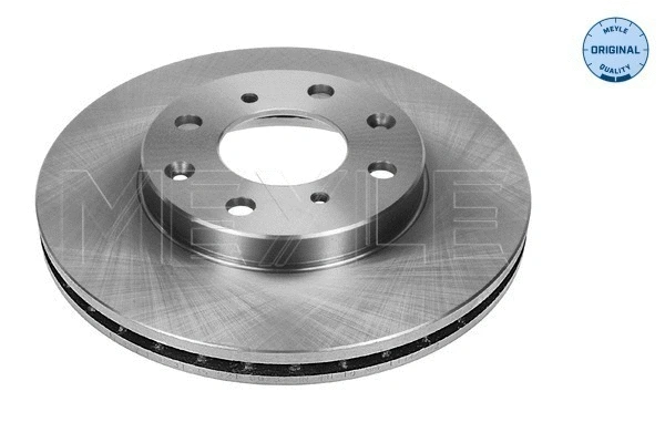 Brake Disc (31-15 521 0028)